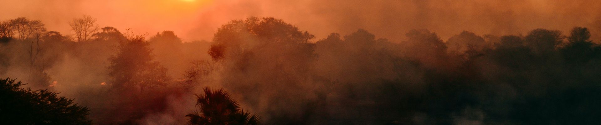 Forest fires affect solar production in Germany