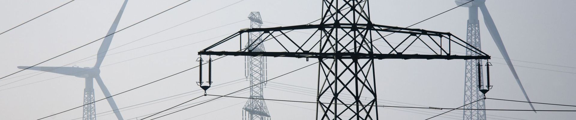 Power poles - vertical grid load forecasts