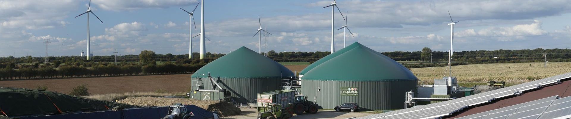 Biogas plant for flexibility generation