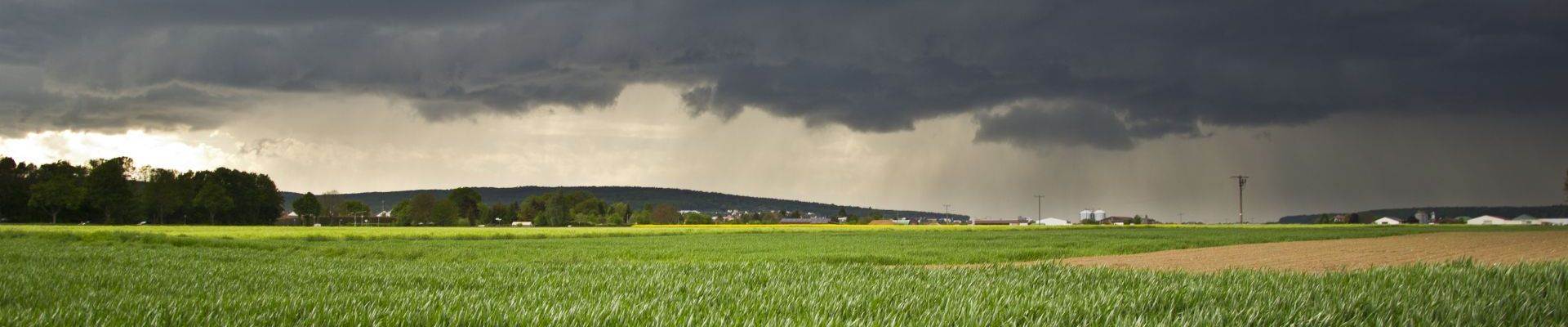 Improvement of the wind power forecast