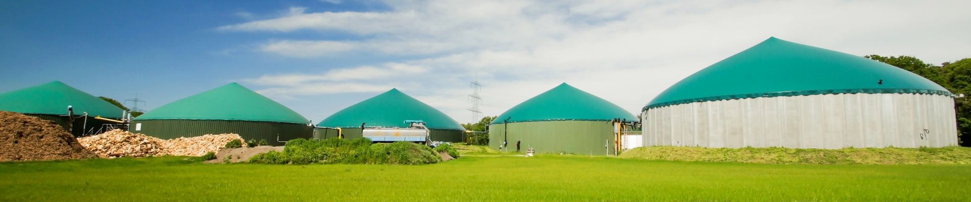 Virtual power plant for marketing of flexibility from biogas plants