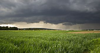 Improvement of the wind power forecast