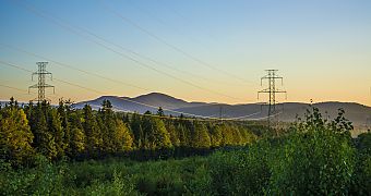 transmission line in the forest requires efficient monitoring