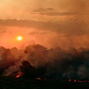 Forest fires affect solar production in Germany